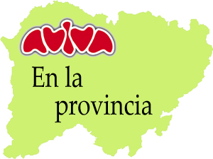 Pincha en este mapa de Salamanca y ver�s la presencia de AVIVA en nuestra provincia.
